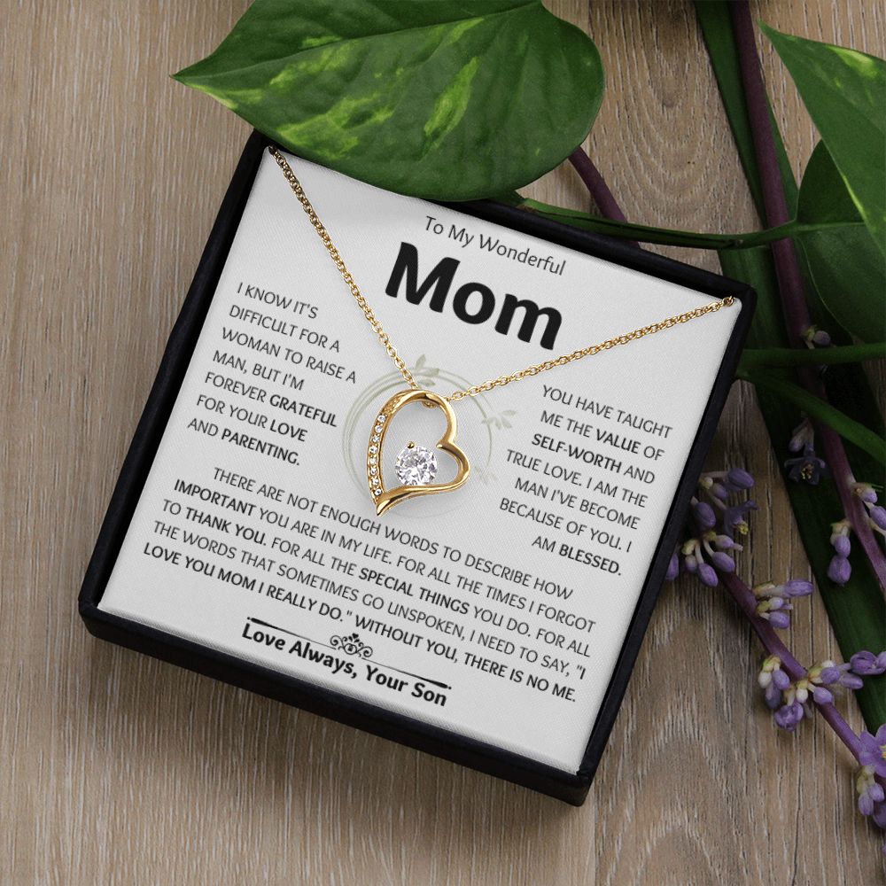 To My Wonderful Mom |  Forever Love Necklace | For All The Special Things You Do
